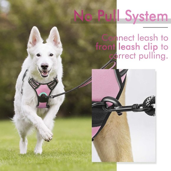 Rabbitgoo Dog Harness, No-Pull Pet Harness with 2 Leash Clips - Picture 7 of 8